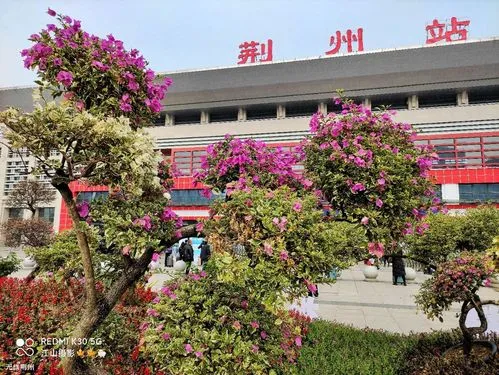 廣州到荊州物流公司|廣州到荊州專(zhuān)線(xiàn)-服務(wù)面廣
